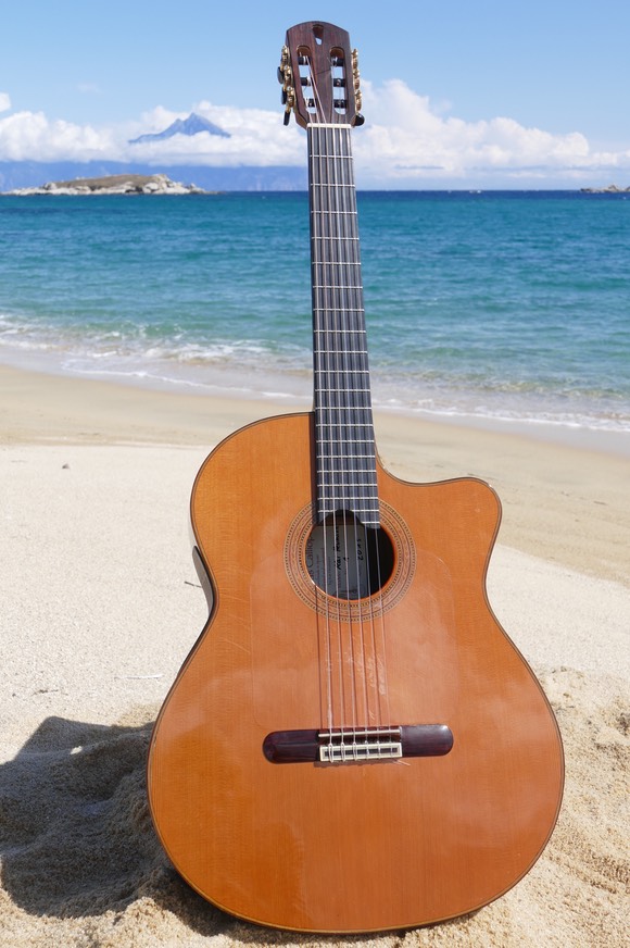 Guitarras Calliope 1
