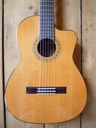 "Modelo El Sur" Cutaway Zeder