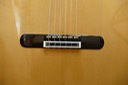 Modelo "José Feliciano" 1