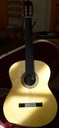 "Modelo Orfeo" Meistergitarre Fichte, fretless
