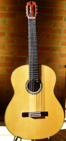 Orfeo Meistergitarre 1
